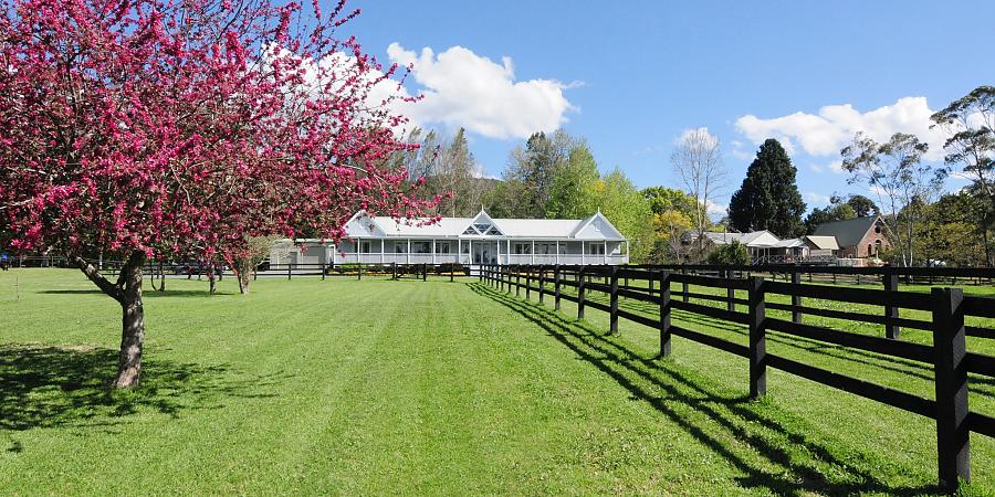 View back to the house